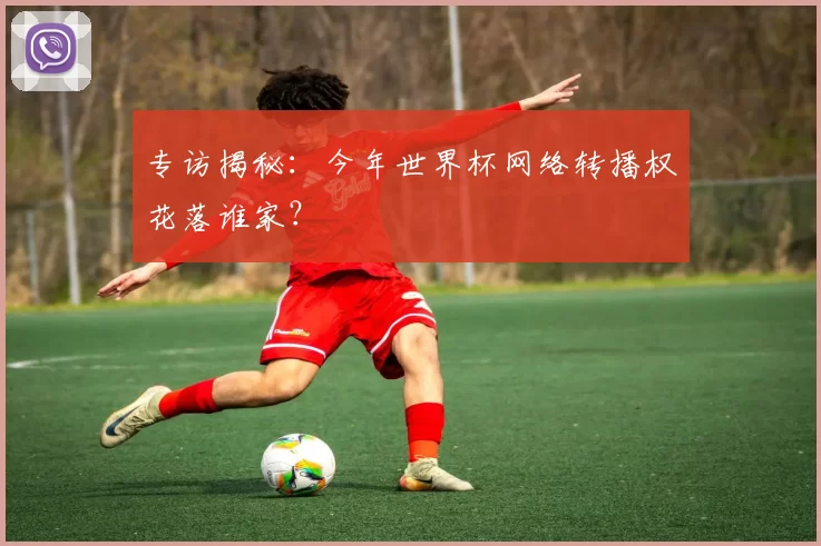 专访揭秘:今年世界杯网络转播权花落谁家?