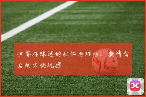 世界杯球迷的狂热与理性:激情背后的文化观察