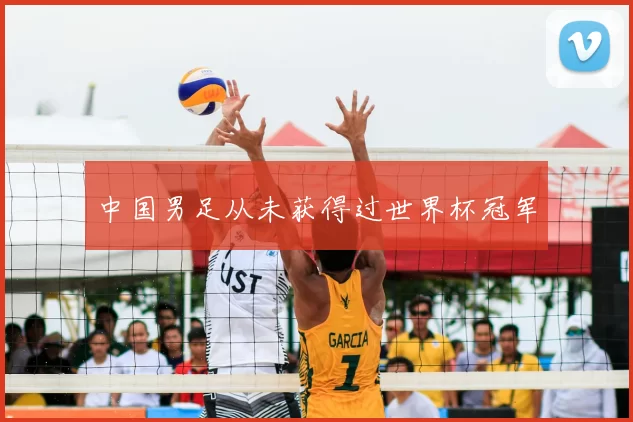 中国男足从未获得过世界杯冠军