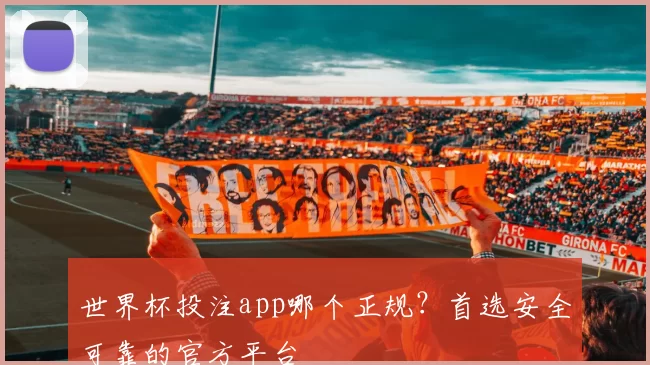 世界杯投注app哪个正规?首选安全可靠的官方平台