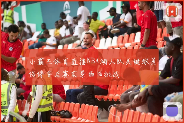 小霸王体育直播NBA湖人队关键球员伤停季后赛前景面临挑战