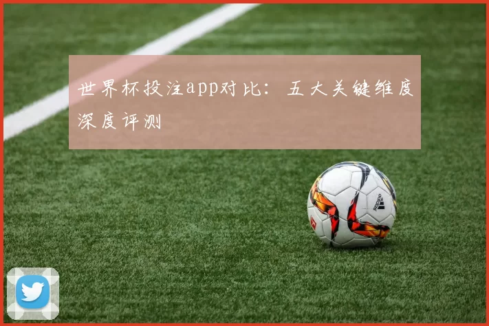 世界杯投注app对比:五大关键维度深度评测