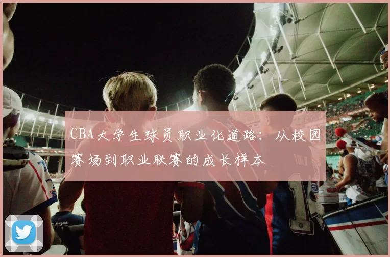 CBA大学生球员职业化道路：从校园赛场到职业联赛的成长样本