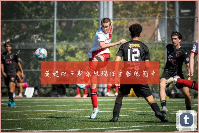 英超纽卡斯尔联现任主教练简介