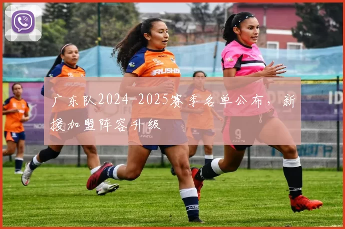 广东队2024-2025赛季名单公布，新援加盟阵容升级