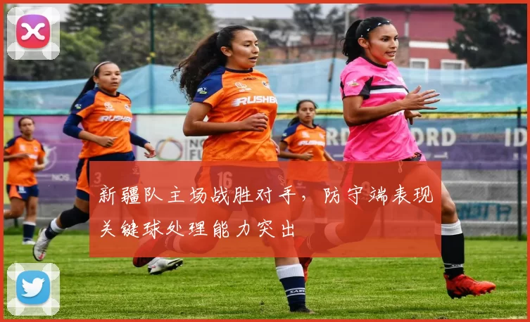 新疆队主场战胜对手,防守端表现关键球处理能力突出