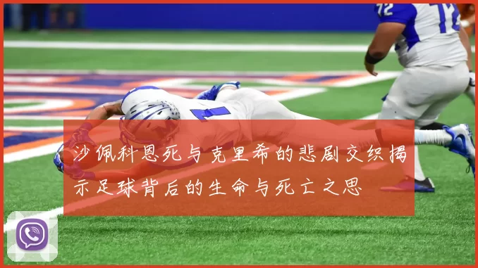沙佩科恩死与克里希的悲剧交织揭示足球背后的生命与死亡之思