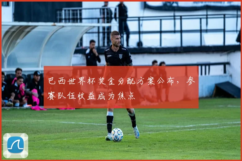 巴西世界杯奖金分配方案公布,参赛队伍收益成为焦点
