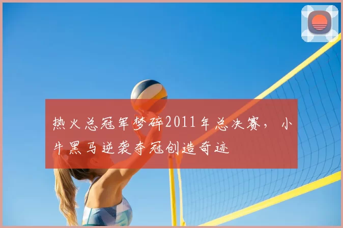 热火总冠军梦碎2011年总决赛，小牛黑马逆袭夺冠创造奇迹