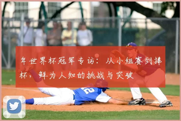 年世界杯冠军专访：从小组赛到捧杯，鲜为人知的挑战与突破