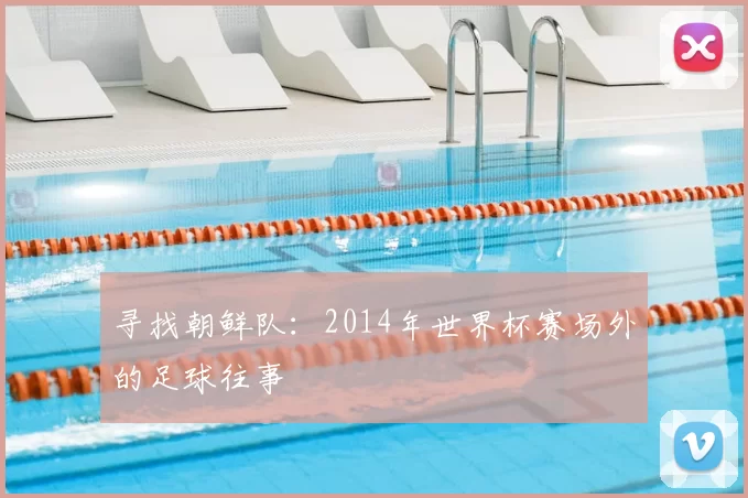 寻找朝鲜队：2014年世界杯赛场外的足球往事